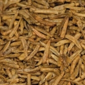 Sušená larva mouchy 500 ml