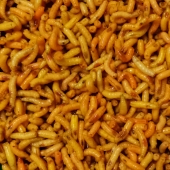 Masový červ oranžový 0,5 l